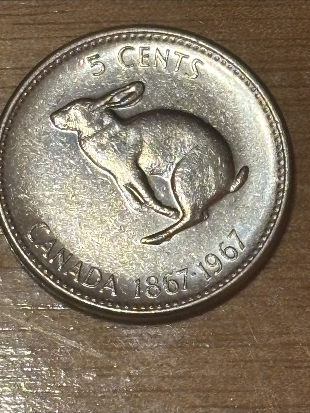 Vintage 1967 Canadian Centennial 5-Cent Coin | Snowshoe Hare Nickel
